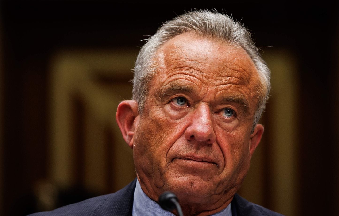 Serpientes negras con las manos desnudas, gusanos cerebrales… Las escapadas animales de Robert Kennedy Jr. Serpientes negras con las manos desnudas, gusanos cerebrales… Las escapadas animales de Robert Kennedy Jr.